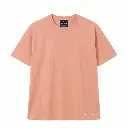 M11-salmon.webp